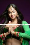 Karthika Nair Stills 12