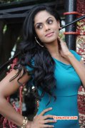 Recent Wallpaper Tamil Movie Actress Karthika Nair 4796