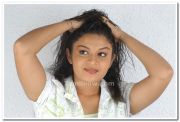 South Indian Actress Karthika 1
