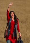 2020 Pictures Keerthi Suresh Film Actress 1289