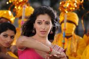Actress Lakshmi Rai 8176