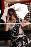 Actress Lakshmi Rai New Hot Still 14