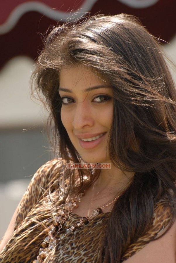 Lakshmi Rai 8807