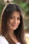 Lakshmi Rai Stills 5729