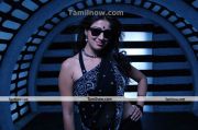 Lakshmirai New Hot Still 11