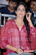 Wallpapers Lavanya South Actress 1176