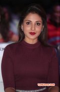 2016 Wallpaper Film Actress Madhu Shalini 151