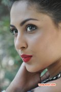 Recent Gallery Heroine Madhushalini 2470