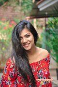 Latest Gallery Madonna Sebastian Tamil Movie Actress 9905