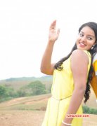 New Pictures Actress Malavika Menon 9828