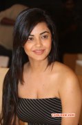 2014 Stills Tamil Heroine Meera Chopra 9097