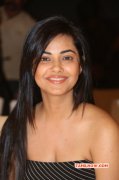 Latest Still Meera Chopra 2752