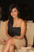 Tamil Actress Meera Chopra New Albums 6749