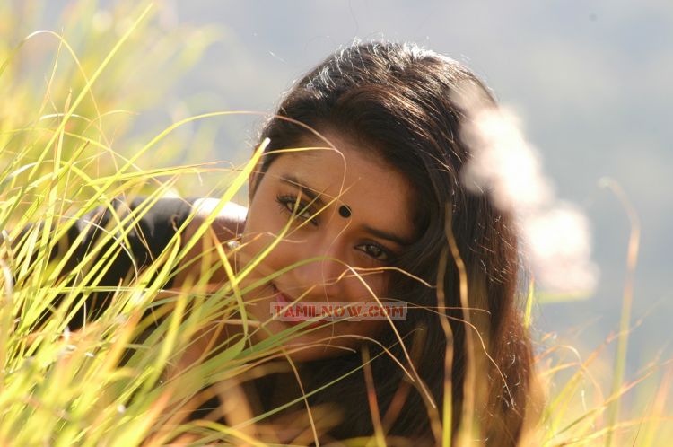Actress Meera Jasmine Photos 151