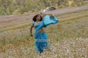 Actress Meera Jasmine Picture 765