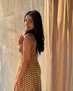 Film Actress Meera Jasmine Recent Pictures 4317