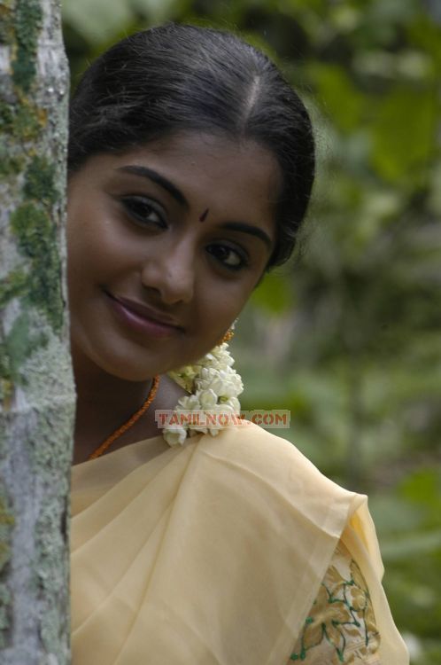 Actress Meera Nandan Photos 1451