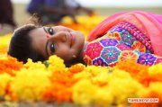 Actress Meera Nandan Photos 8551