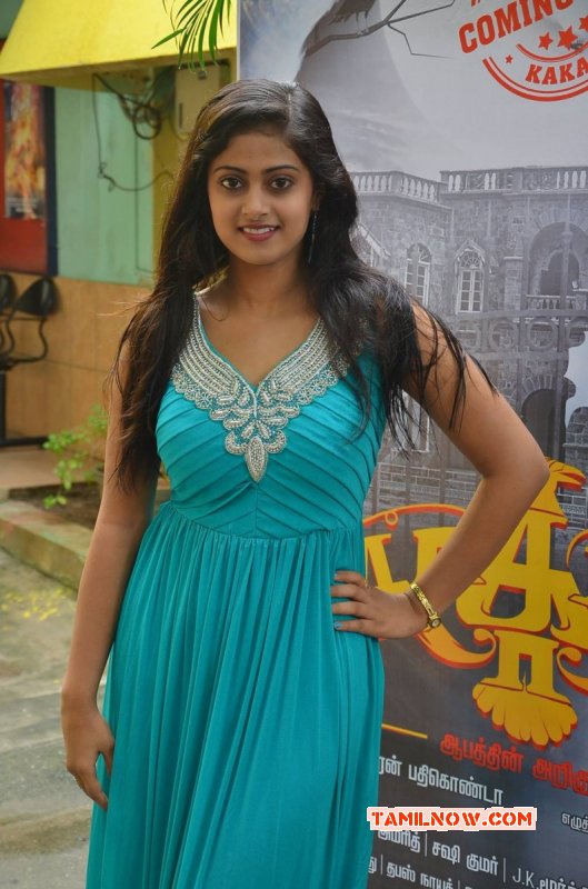 2015 Photo Megha Shree Cinema Actress 1641