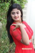 Megha Shree Tamil Movie Actress 2015 Still 161