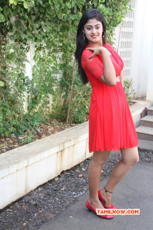 South Actress Megha Shree 2015 Pics 1818