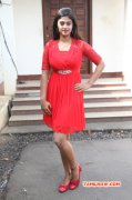 Tamil Actress Megha Shree 2015 Picture 960
