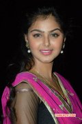 Wallpaper Monal Gajjar Indian Actress 5776