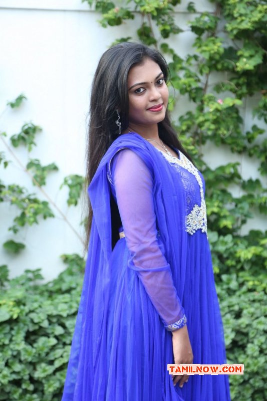 May 2015 Galleries Mridula Vijay South Actress 4115