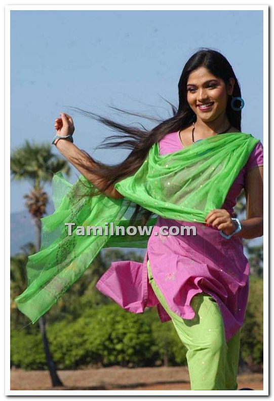 Banu Still 6