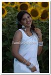 Banu Still 7