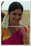 Banu Still 8