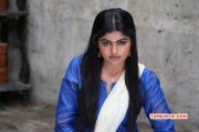 Latest Album Movie Actress Naina Sarwar 5107