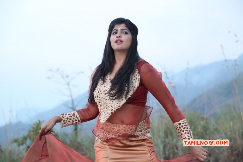 Recent Photos Tamil Heroine Naina Sarwar 8864