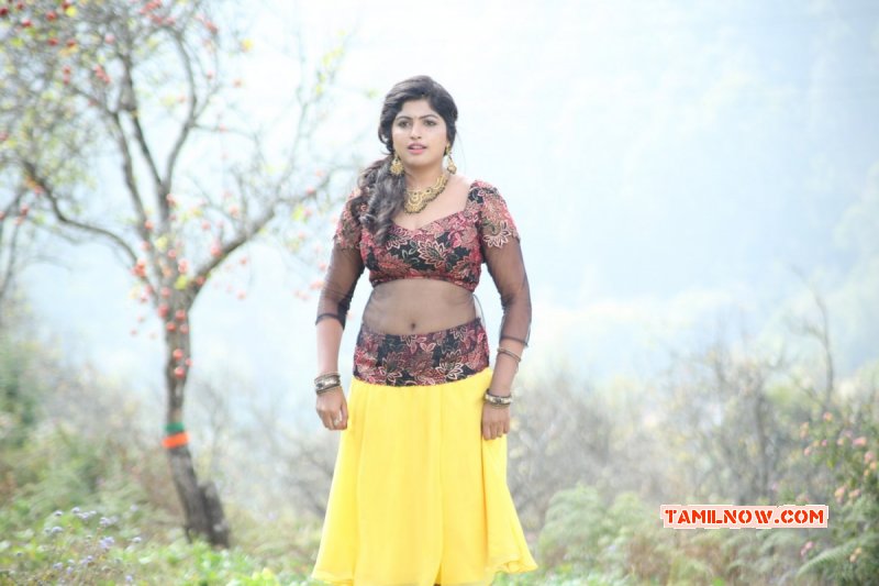 Recent Still Tamil Actress Naina Sarwar 6656