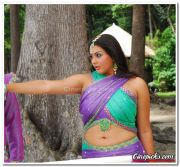 Actress Namitha Still 04