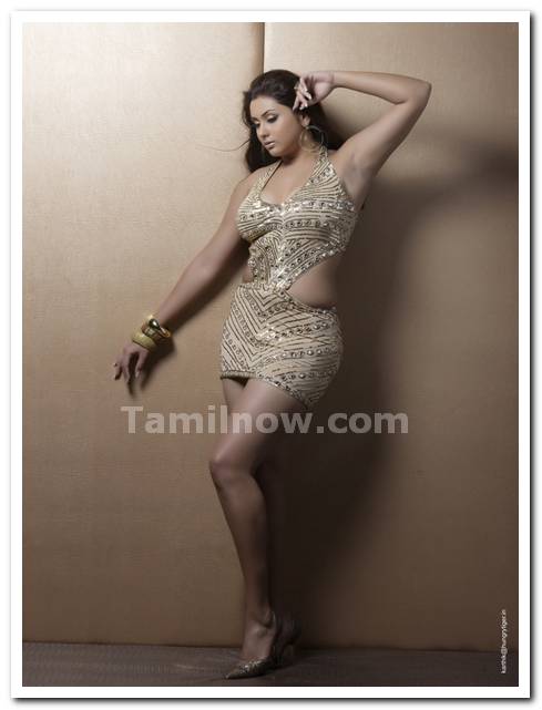 Namitha 29