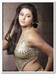 Namitha 34