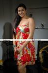 Namitha New Pictures 14