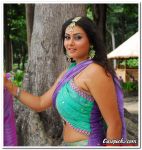 Namitha Photo 02