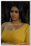 Namitha Photo 04