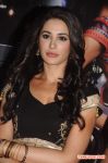 Actress Nargis Fakhri Stills 704