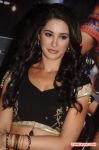 Nargis Fakhri 6266