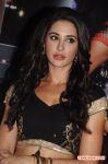 Nargis Fakhri 7079