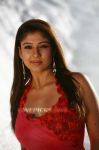 Tamil Actress Nayanthara 1