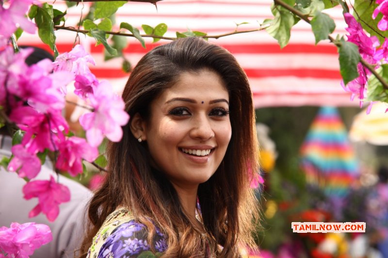 Nayanthara Heroine Recent Photos 3793