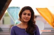 South Actress Nayanthara Album 3158