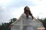 Tamil Actress Nazriya Nazim 6983