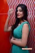 Latest Albums Neelam Upadhyaya South Actress 2637