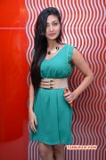 Movie Actress Neelam Upadhyaya New Photos 2173