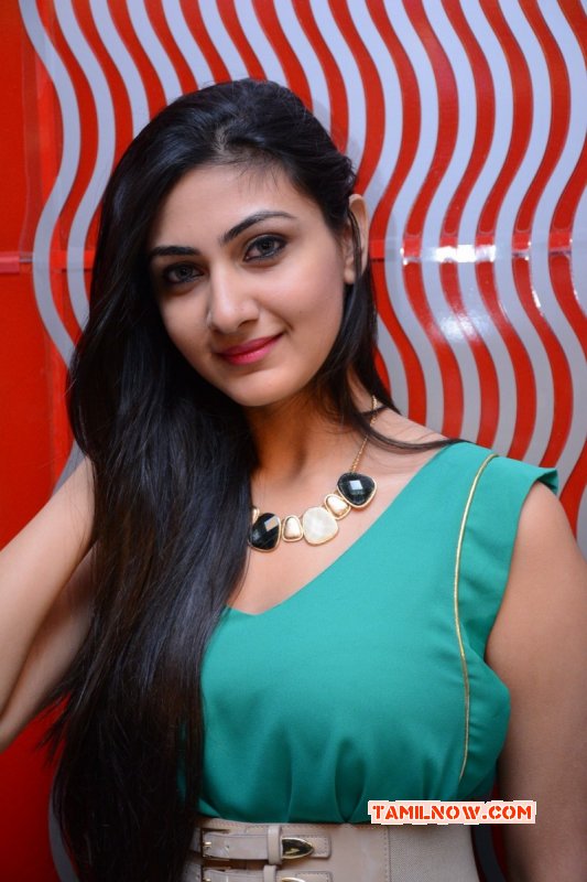 Neelam Upadhyaya Latest Photo 2343